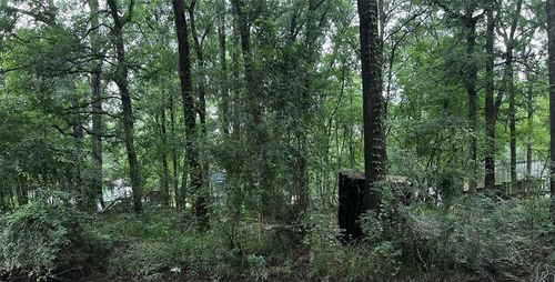 TBD Mudd St, Coldspring, TX, 77331 | Card Image