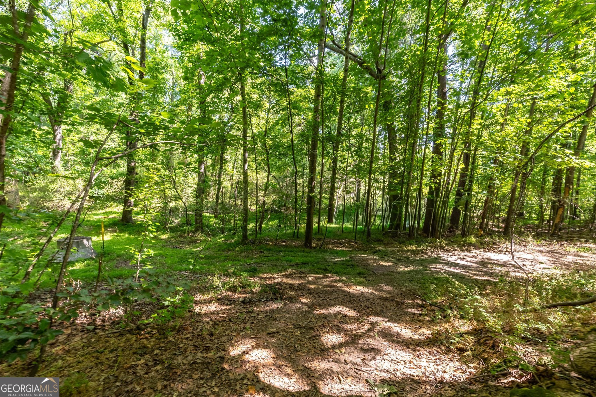 Land in Monroe 5