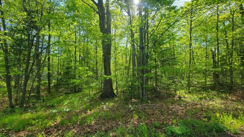 147-acres-ON Pleasant Acres Ln, Summit Lake, WI, 54485 | Card Image