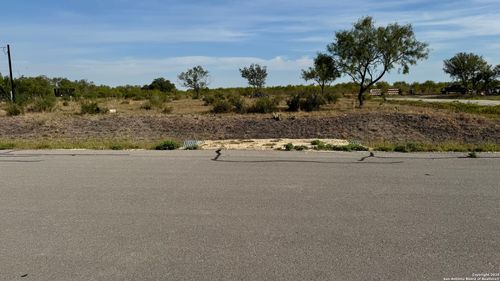 295 Lobo Loop, Hondo, TX, 78861-6318 | Card Image