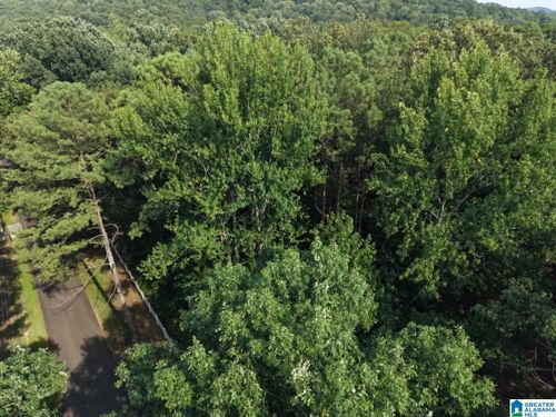 0-5389 Old Shadow Lake Rd, Pinson, AL, 35126-4476 | Card Image