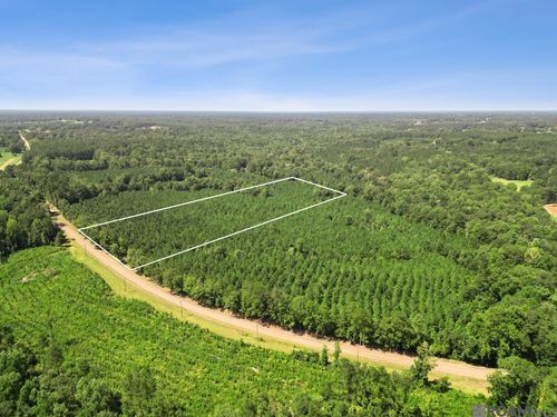 Lot 4 Highway 62, Franklinton, LA, 70438 | Card Image