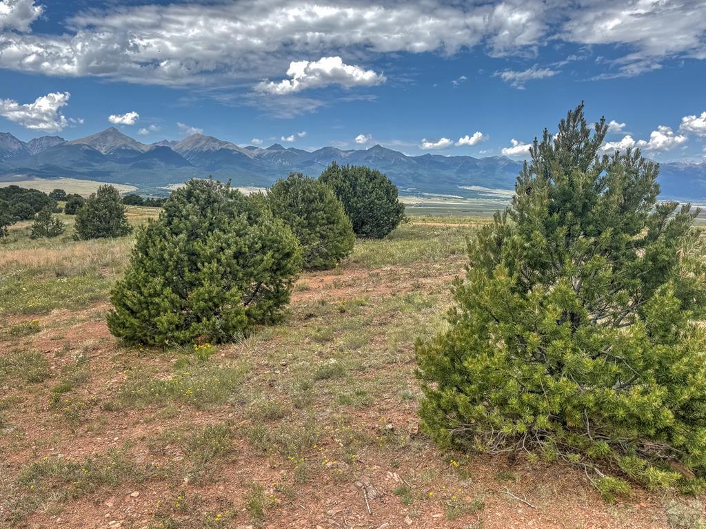 Land in Westcliffe