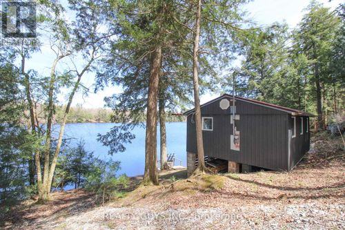 959 Beaver Lake Rd, Trent Lakes, ON, K0L1J0 | Card Image