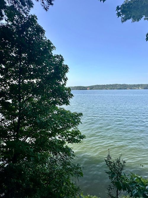 0 Paradise Dr, Waterloo, AL, 35677 | Card Image