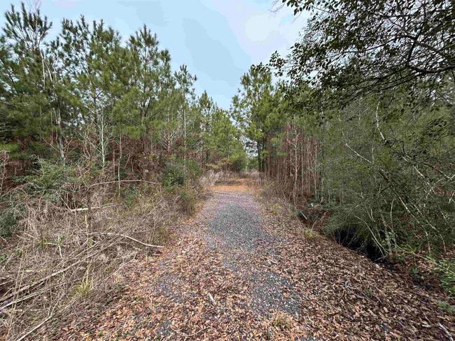 435 Gore Store Rd, Home with 0 bedrooms, 0 bathrooms and null parking in Warren TX | Image 9