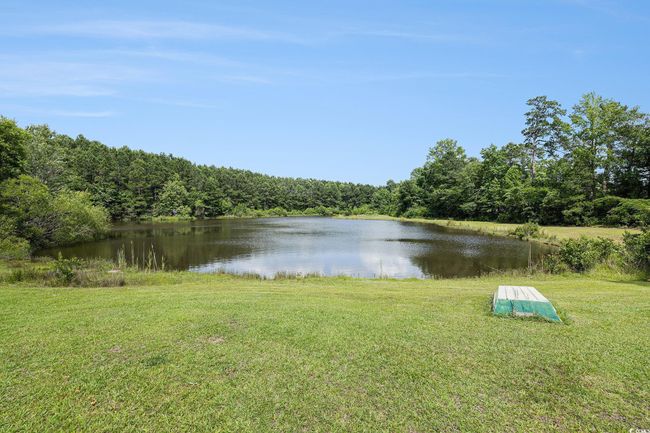 Water view with a heavily wooded area | Image 32
