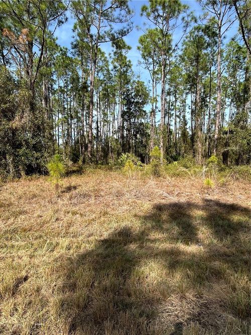 309 Sundance Trl, Wimauma, FL, 33598-7549 | Card Image