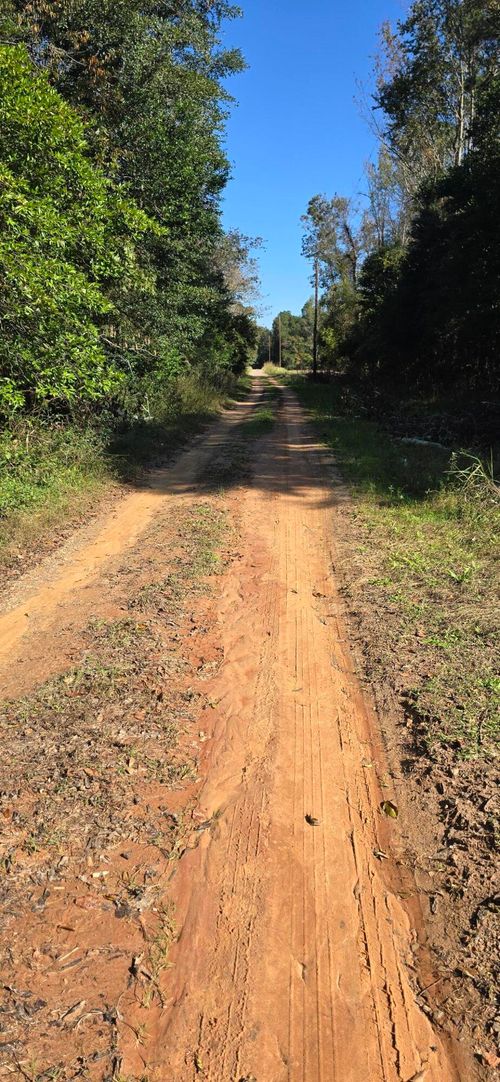 0 Ruby St, Jackson, SC, 29831 | Card Image