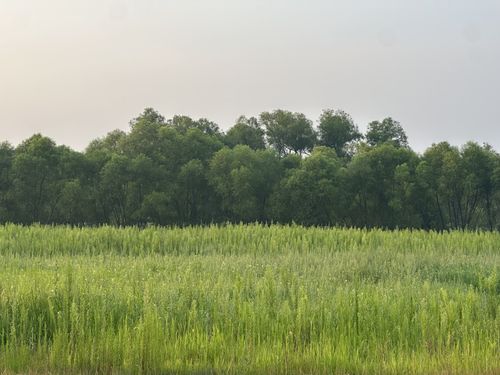 Lot 4 28th St, Elk Mound, WI, 54739 | Card Image