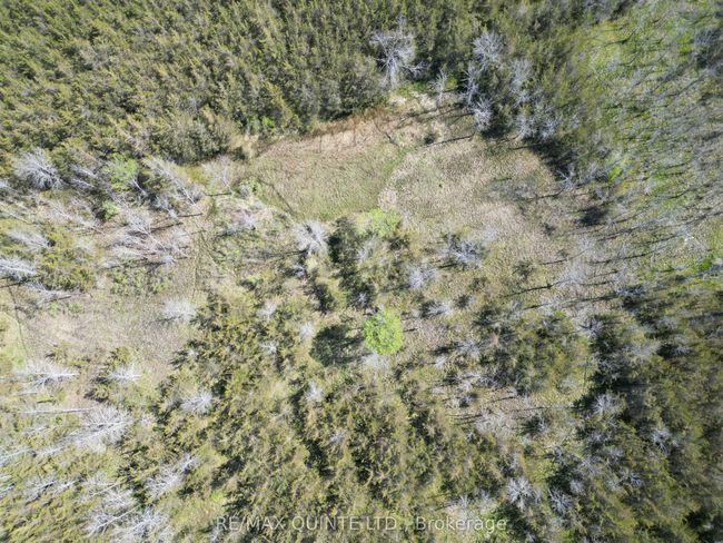 PART-2 - 0 Abrams Rd, Home with 0 bedrooms, 0 bathrooms and null parking in Greater Napanee ON | Image 7