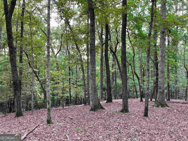 0 Peach Orchard Dr, Home with 0 bedrooms, 0 bathrooms and null parking in Alto GA | Image 20