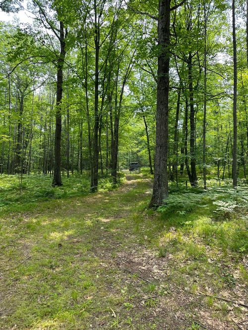 63231 Hannu, Pine Lake Twp, MN, 55735 | Card Image