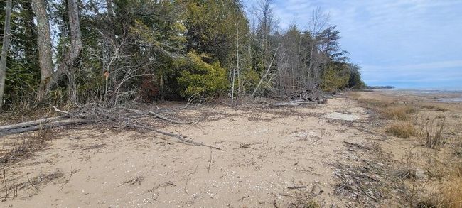 Lt0 E State Highway M35, Home with 0 bedrooms, 0 bathrooms and null parking in INGALLSTON MI | Image 6