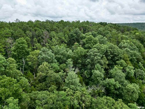 000 Stoneface Ln, Herod, IL, 62947 | Card Image