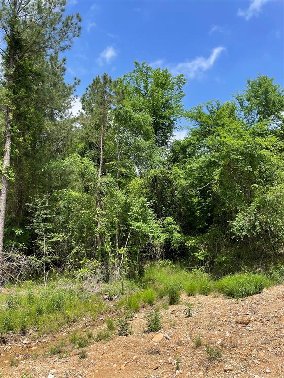 Land in Broken Bow