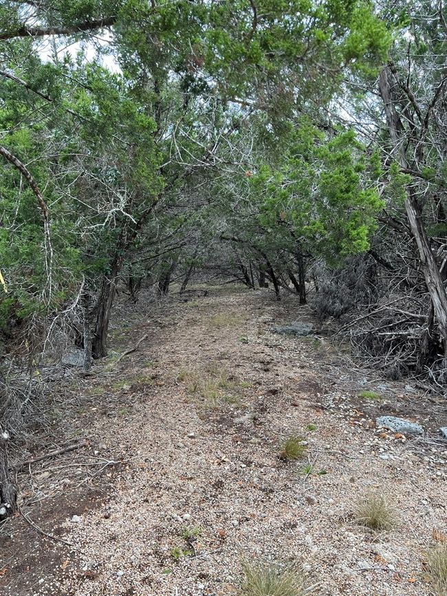 29 - 396 High Forest Dr, Home with 0 bedrooms, 0 bathrooms and null parking in Blanco TX | Image 11