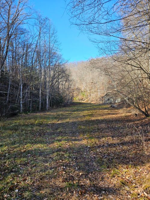 0 Lick Fork Road, Sandy Hook, KY, 41171 | Card Image