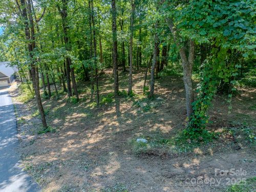 1-0000 Pinnacle Mountain Rd, Flat Rock, NC, 28731 | Card Image