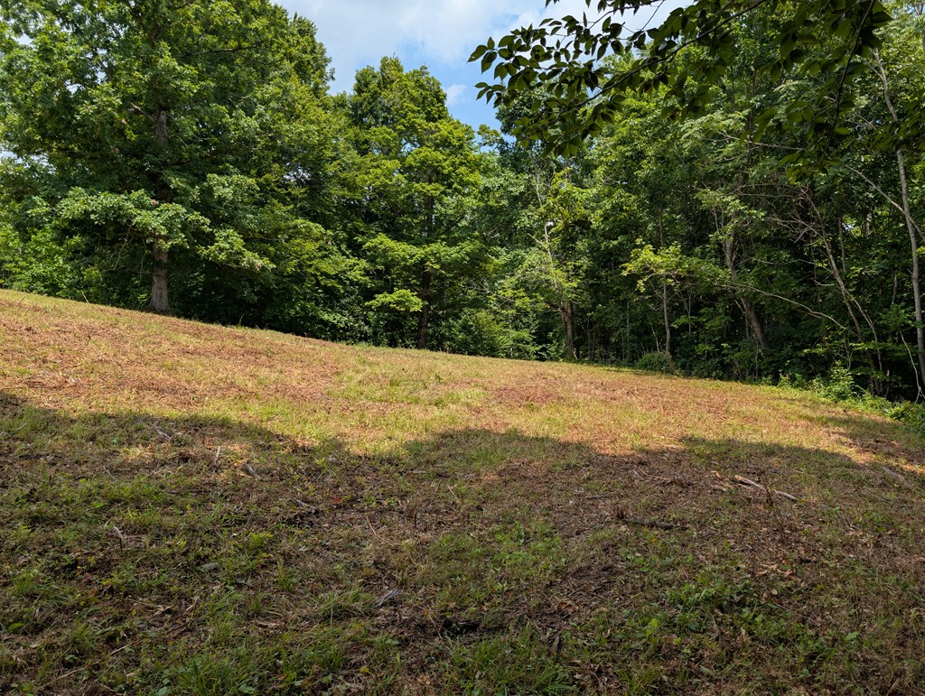 Land in Burkesville 5