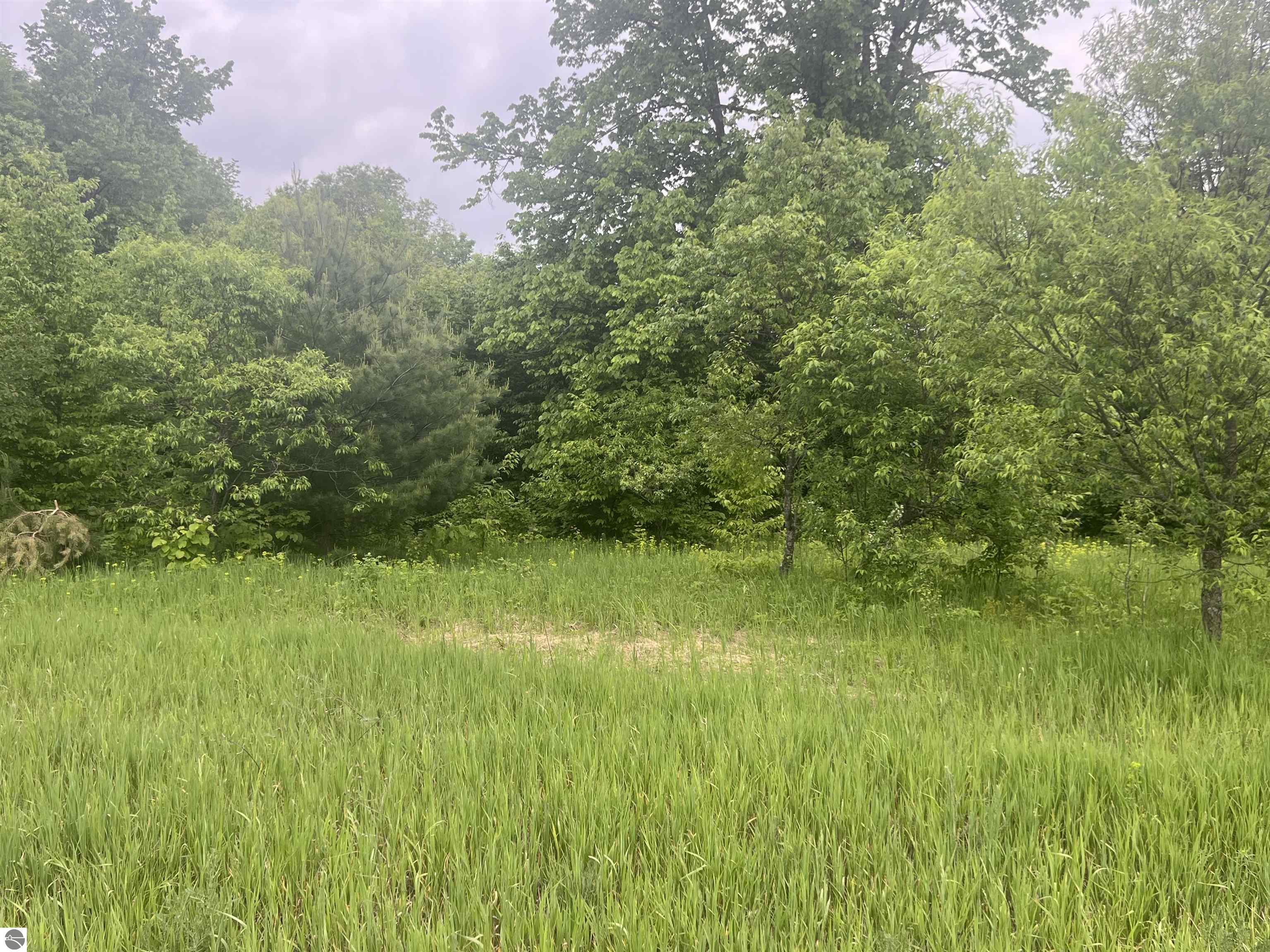 Land in Kalkaska 2