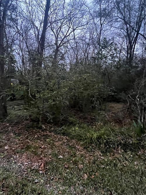 0 Elm St, Huffman, TX, 77336 | Card Image