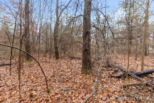 PARCEL-1 - V/L W Snows Lake Road, Home with 0 bedrooms, 0 bathrooms and null parking in Fenwick MI | Image 20