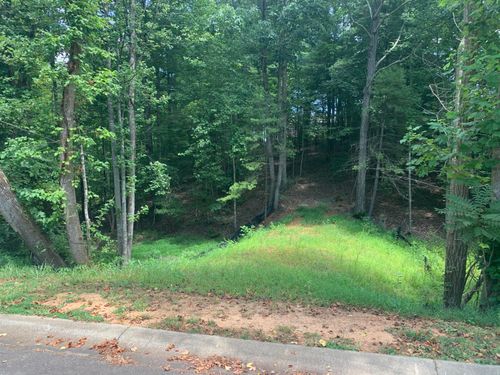 Lot 13 Creekwood Dr, Rocky Mount, VA, 24151-2139 | Card Image