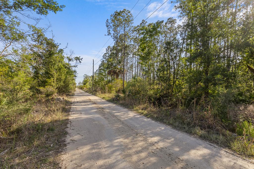 Land in Steinhatchee 2