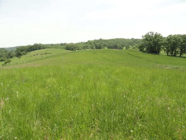 Lot 3 County Road Y, Home with 0 bedrooms, 0 bathrooms and null parking in Viroqua WI | Image 58