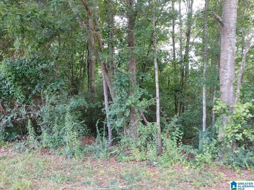 2-00 Kingston Dr, SYLACAUGA, AL, 35151 | Card Image