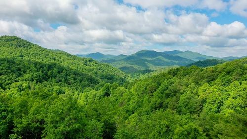 1515 Briartown Church Rd, Topton, NC, 28781-7386 | Card Image