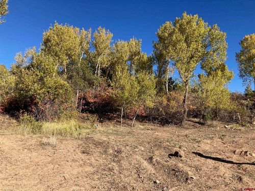 1590 Se 3rd St, Cedaredge, CO, 81413-4208 | Card Image