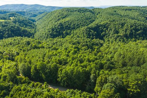 TBD Sawmill Hill Rd, Willis, VA, 24380 | Card Image