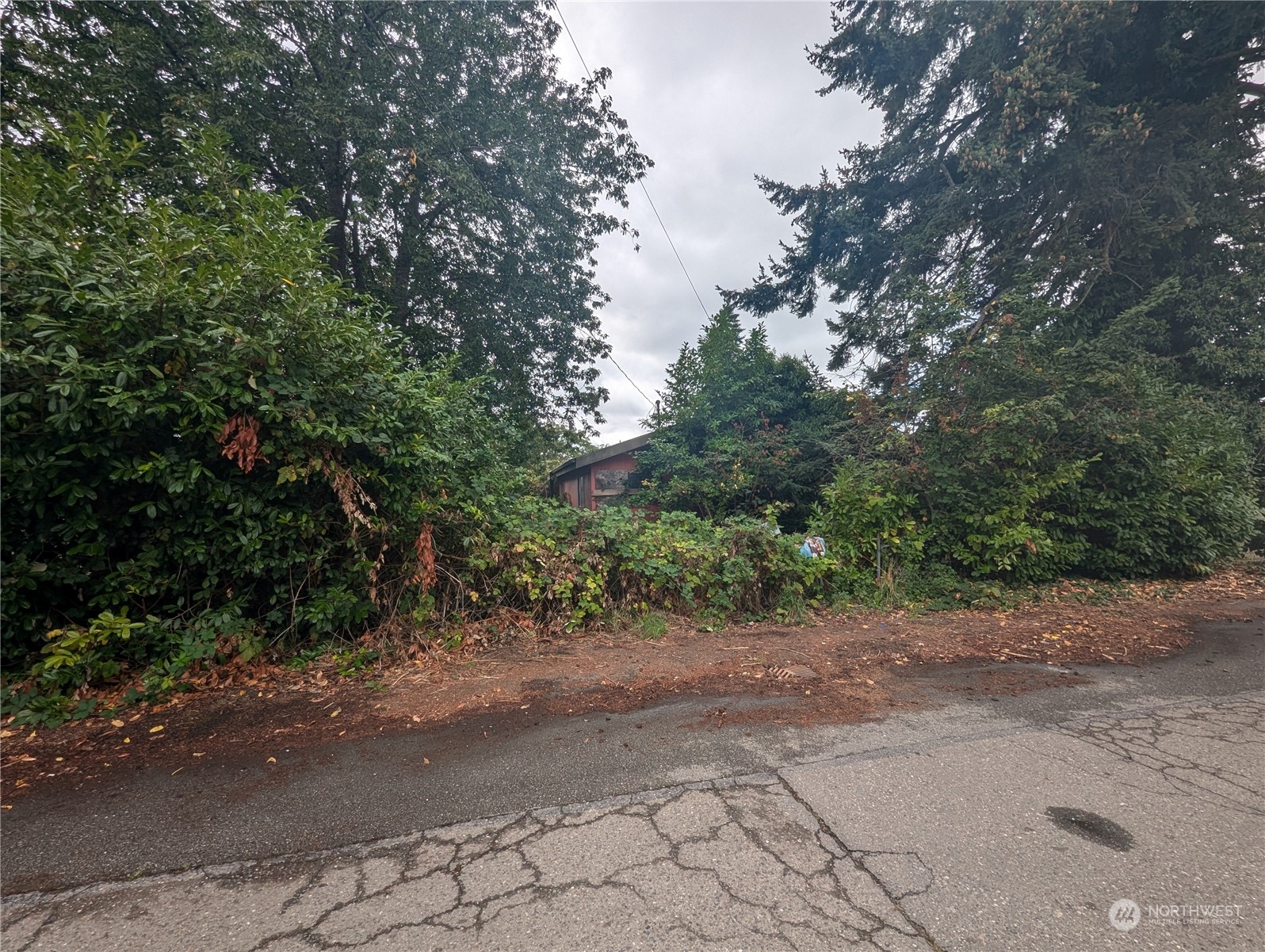 D St, Bremerton, WA 98312