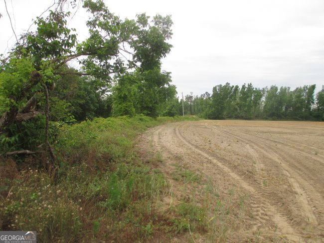 08600022T1 Red Bird Rd, Home with 0 bedrooms, 0 bathrooms and null parking in Lumber City GA | Image 7