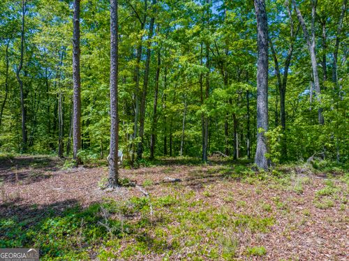 16 ACRES Gun Club Rd, Buchanan, GA, 30113-2603 | Card Image