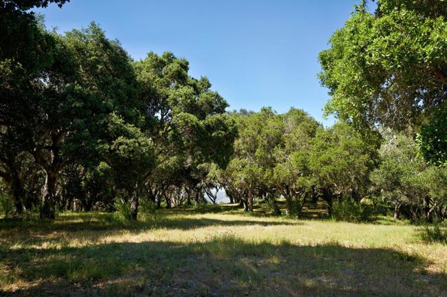 4 Holding Field Run, Home with 0 bedrooms, 0 bathrooms and null parking in Carmel CA | Image 6