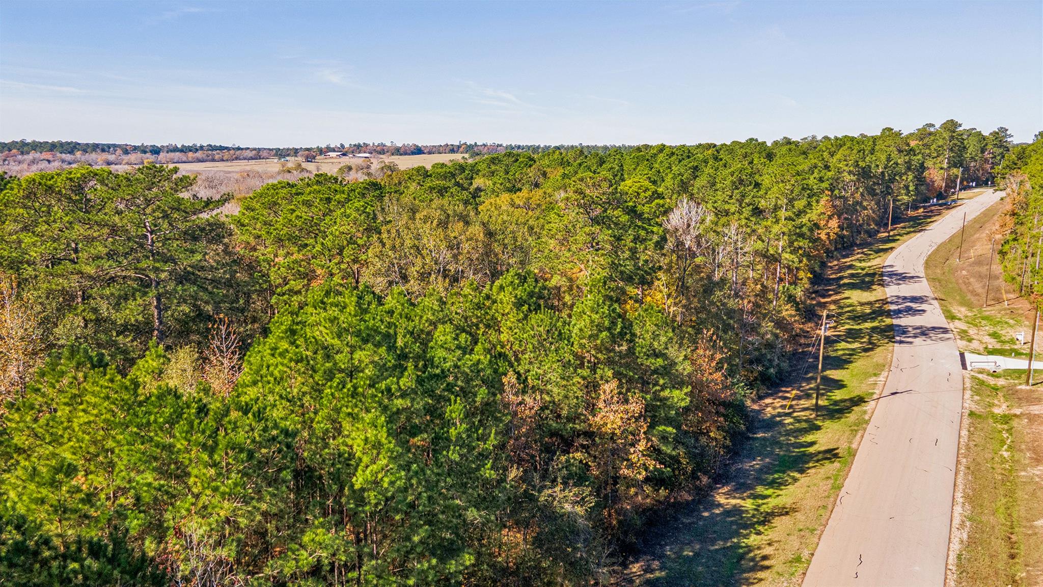 Land in New Waverly 5