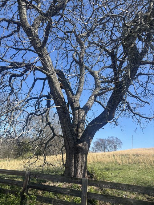 9849 Sam Donald Rd, Nolensville, TN, 37135 | Card Image