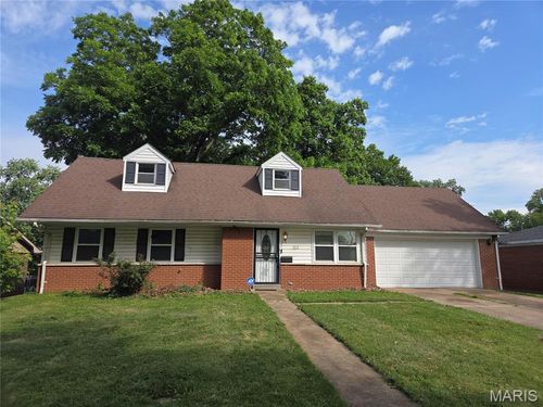 113 Philecia Dr, Swansea, IL, 62226-3053 | Card Image