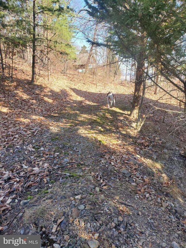 1527 Highland Springs Rd, House other with 2 bedrooms, 0 bathrooms and null parking in OLD FIELDS WV | Image 37