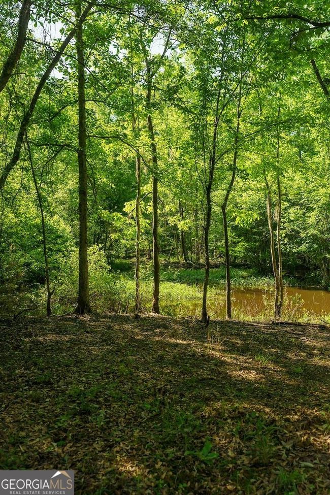 6053 Sun Hill Grange Rd, Home with 0 bedrooms, 0 bathrooms and null parking in Davisboro GA | Image 40