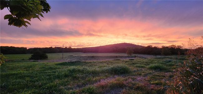 10535 N Highway 59, Home with 3 bedrooms, 1 bathrooms and null parking in Summers AR | Image 6