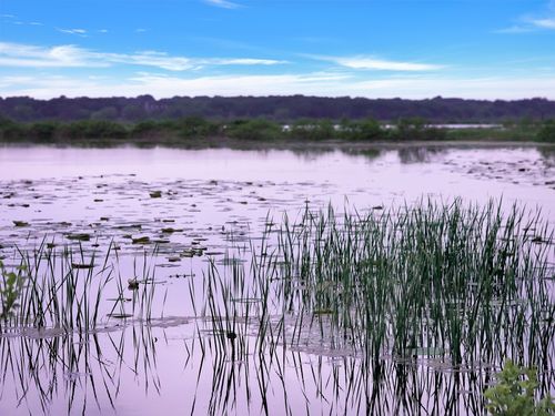 TBD Meridian Ln, Gordonville, TX, 76245 | Card Image