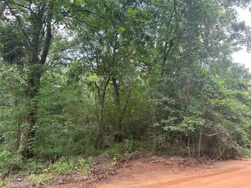 0 Foxfire Dr, Plantersville, TX, 77363 | Card Image