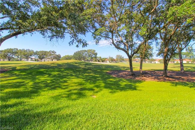 View of yard | Image 8