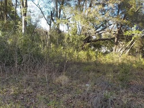 lot-43-0 Se 139th Ln, SUMMERFIELD, FL, 34491 | Card Image
