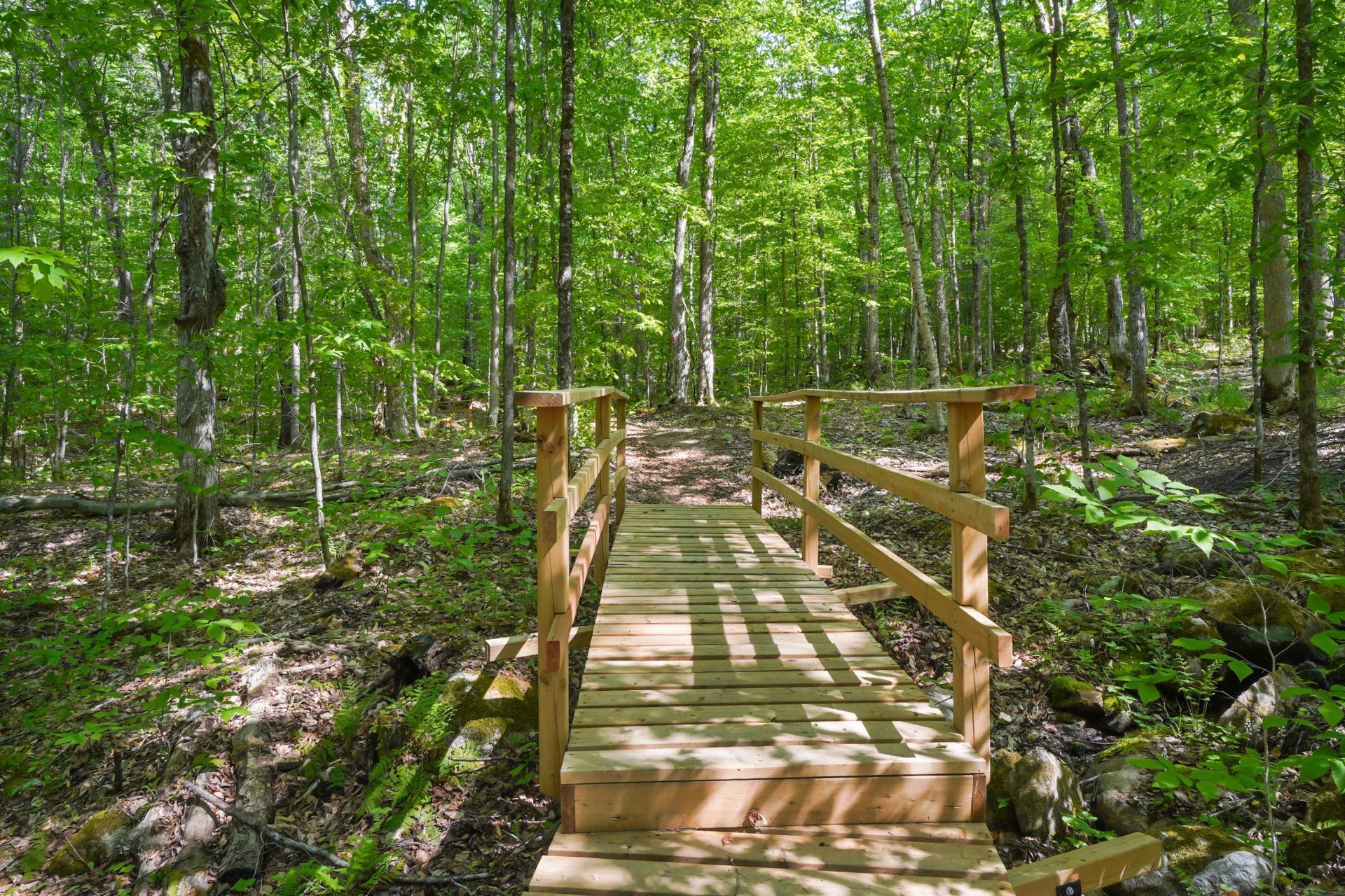 Land in Mont-Tremblant 5