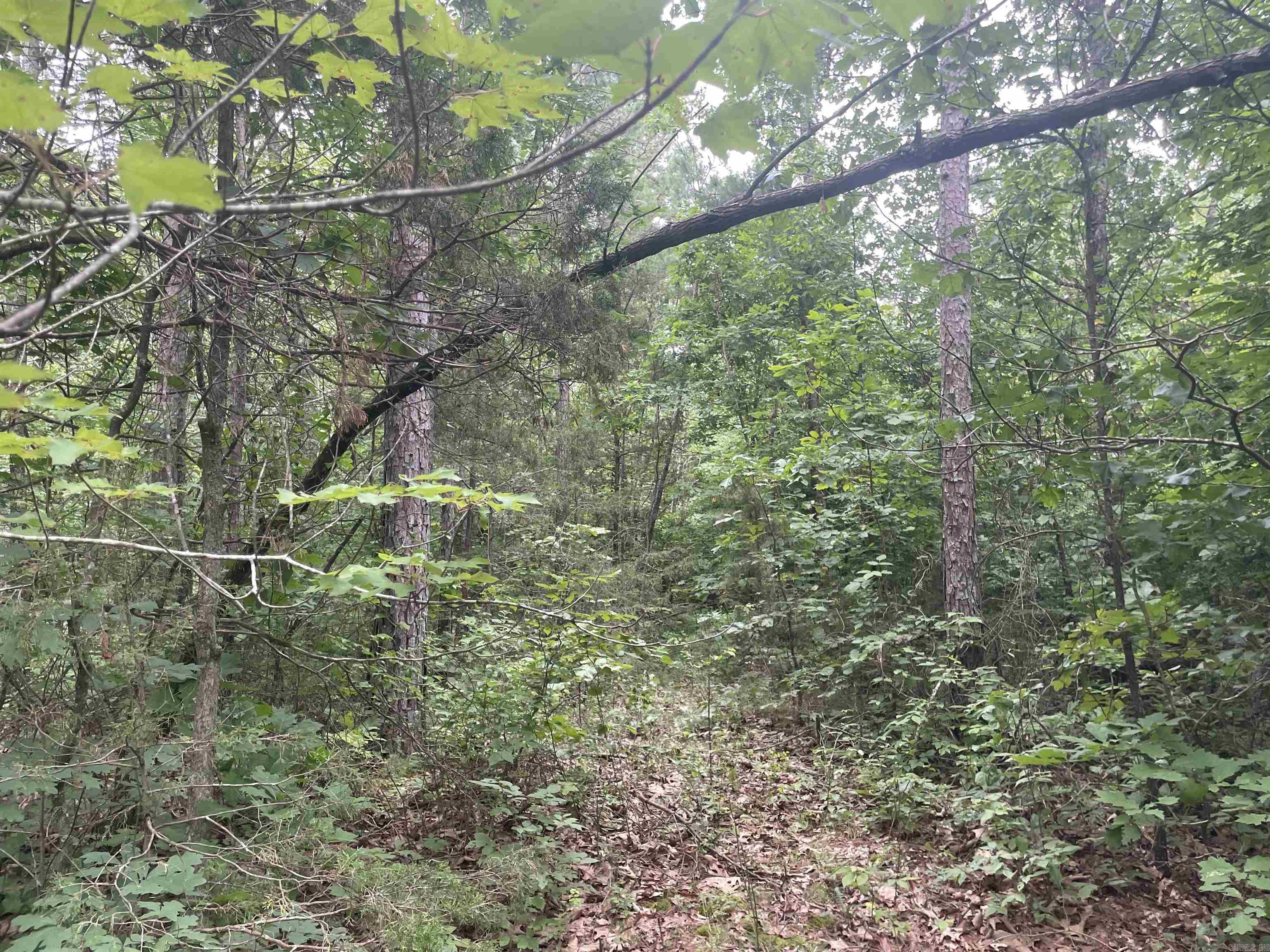 Land in Clinton 5